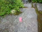 Photo: Sim22, 산행하다보면 길을 잃지 않도록 바위와 나무에 색갈 표시