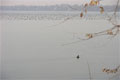 Photo: Sim22, location - Bord du Lac, Dorval, Quebec  ( November 19, 2004)