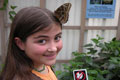 Photo: Sim22, 나비종류: Owl butterfly, 순간포착, 먼저 사진찍고 어머니랑 같이온 소녀, 디지탈 사진기의 장점을 이용하여 사진을 보여 주었더니 상당히 만족해 하는 가족 이었습니다. 이멜주소로 사진 보냈습 니다 . 이름: 마리안느, 장소는 몬트리얼 식물원 나비 축제에서