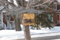 Photo: Sim22, location: Trenhome Avenue, Montreal  (March 11, 2005)